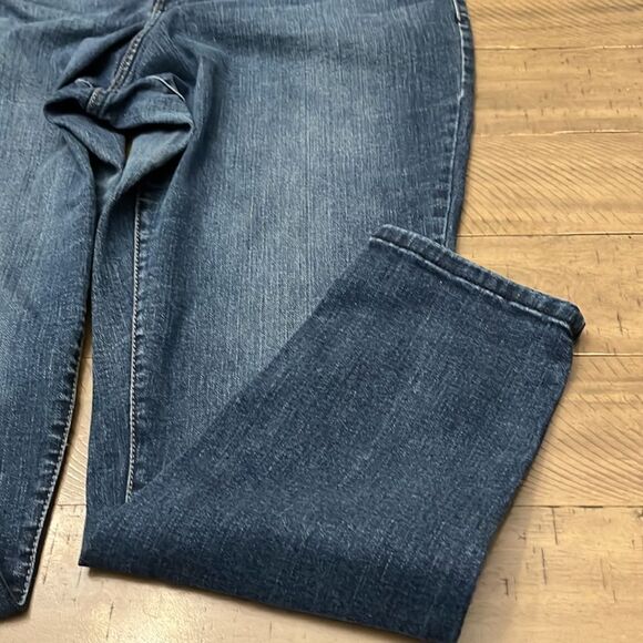 Lane Bryant Jegging denim - Picture 4 of 8